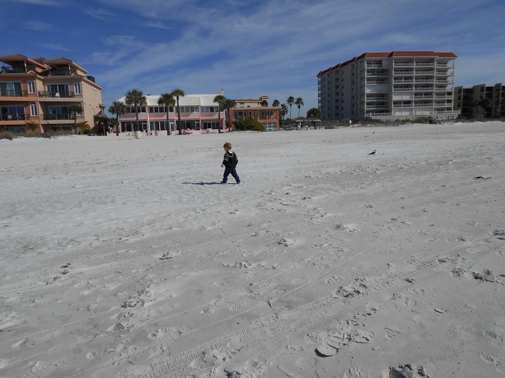 3000 Sq Ft Beach And Bay Condo St. Pete Beach Exteriör bild